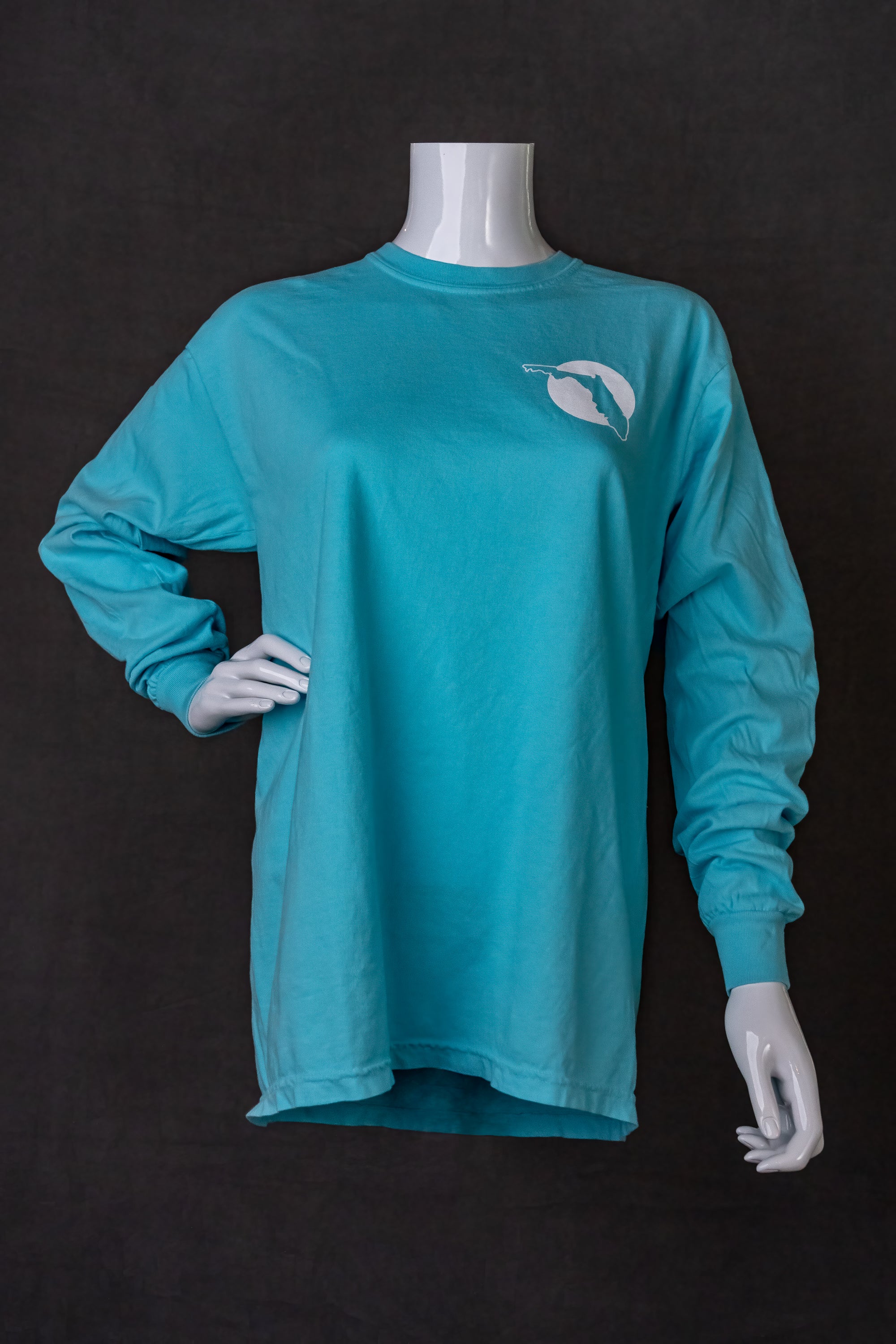 テンダーロイン　LONG SLEEVE TEE 2D L WHITE BLUE C2 Sport 510400 | C2 LONG SLEEVE TEE